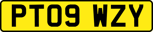 PT09WZY