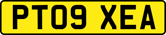 PT09XEA
