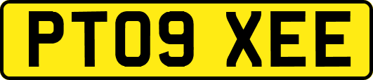 PT09XEE