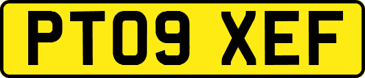 PT09XEF