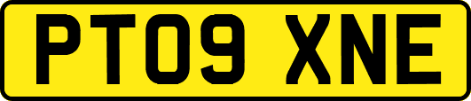 PT09XNE