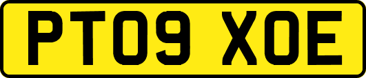 PT09XOE