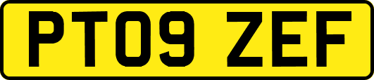 PT09ZEF