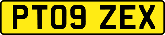 PT09ZEX