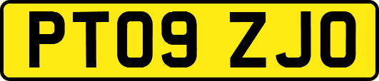 PT09ZJO