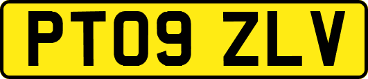 PT09ZLV