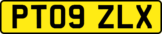 PT09ZLX