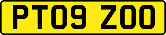 PT09ZOO