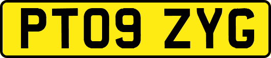 PT09ZYG