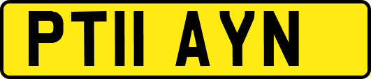 PT11AYN