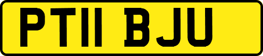 PT11BJU