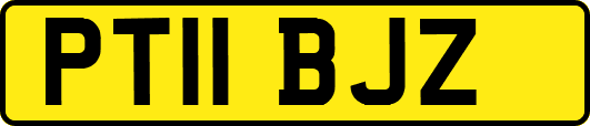 PT11BJZ