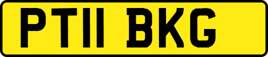 PT11BKG