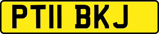PT11BKJ