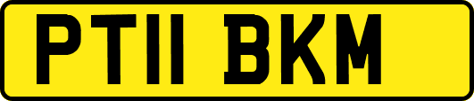 PT11BKM