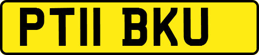 PT11BKU