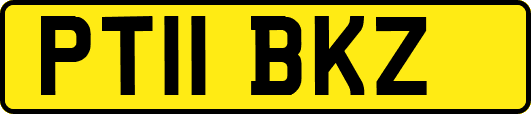 PT11BKZ