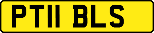 PT11BLS