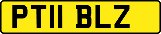 PT11BLZ
