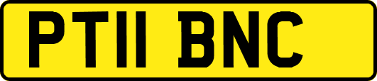PT11BNC