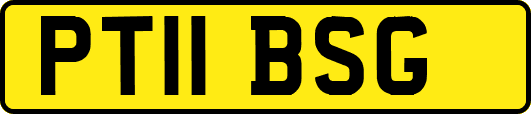 PT11BSG