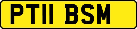 PT11BSM
