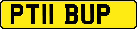 PT11BUP