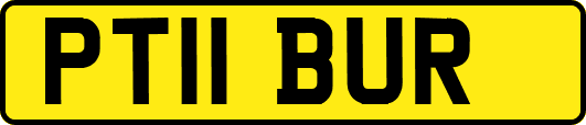 PT11BUR