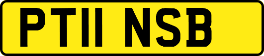 PT11NSB