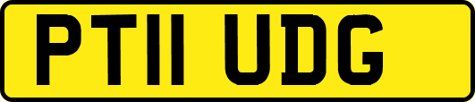 PT11UDG