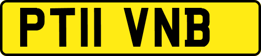 PT11VNB