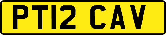 PT12CAV