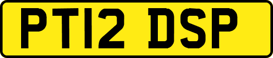 PT12DSP