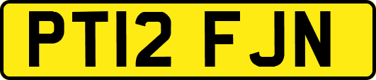 PT12FJN