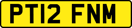 PT12FNM