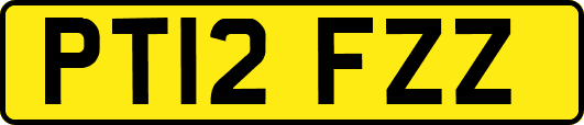 PT12FZZ