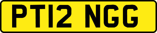 PT12NGG