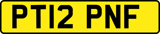 PT12PNF