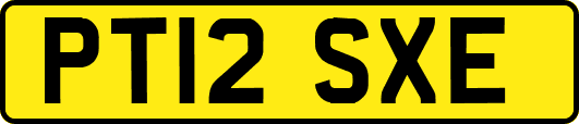 PT12SXE