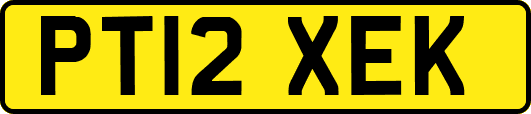 PT12XEK