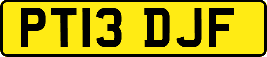 PT13DJF