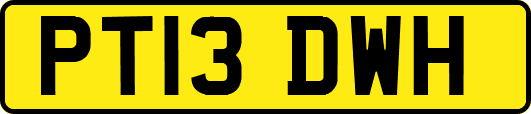 PT13DWH