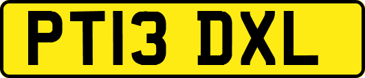 PT13DXL