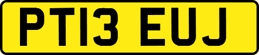 PT13EUJ
