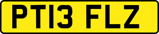PT13FLZ
