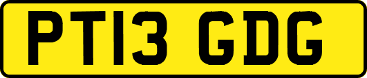 PT13GDG