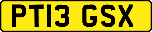 PT13GSX