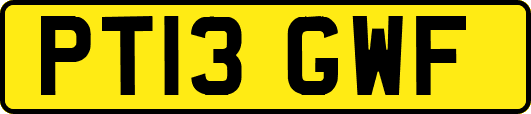 PT13GWF