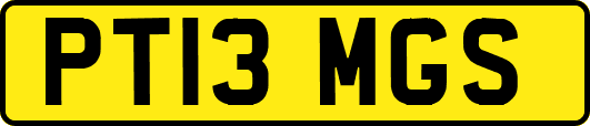 PT13MGS