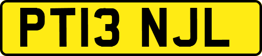 PT13NJL